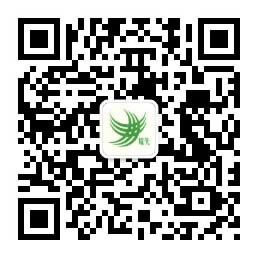 极悦娱乐公众号