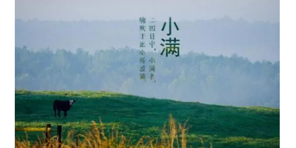 今日<i style='color:red'>小满</i>丨极悦愿你的生活，幸福美满！