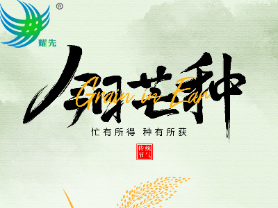 芒种遇世界环境日 | 耕耘希望，守护蔚蓝：极悦娱乐与您共赴绿色之约