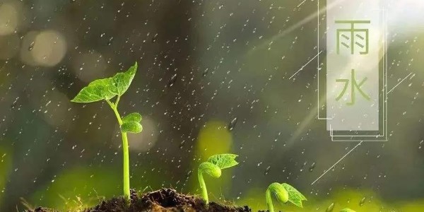 雨水 | 润泽万物，极悦娱乐愿你得绵远深情